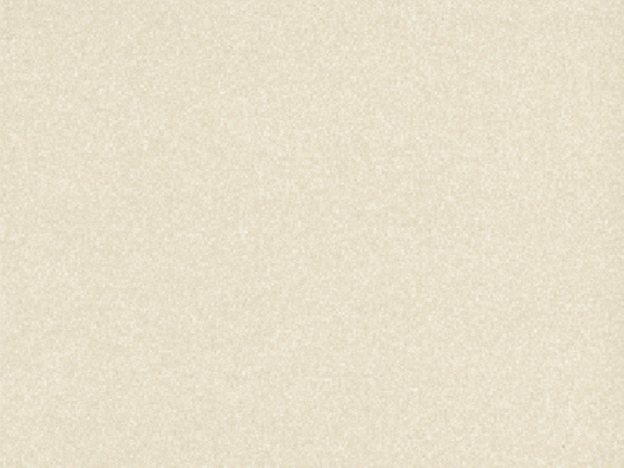 DF2306NP (200*300)
